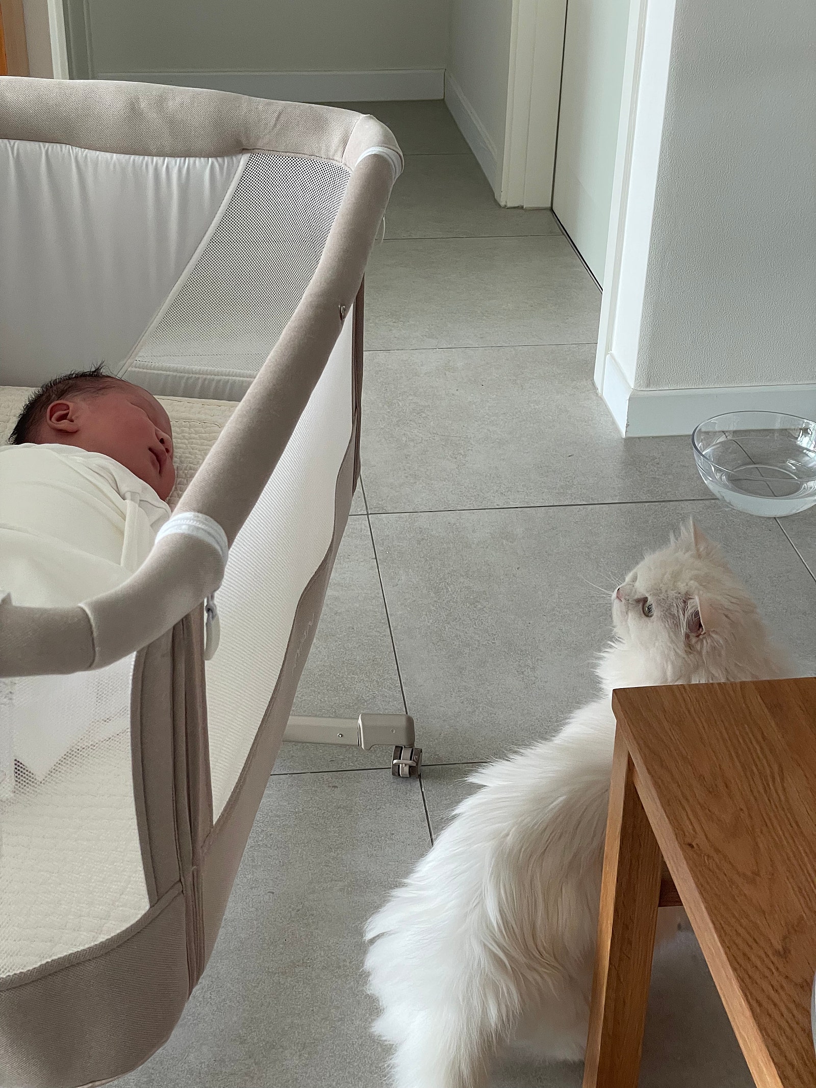 영등포 산후도우미 업체 ‘가봄’ 3주 이용 만족 후기!