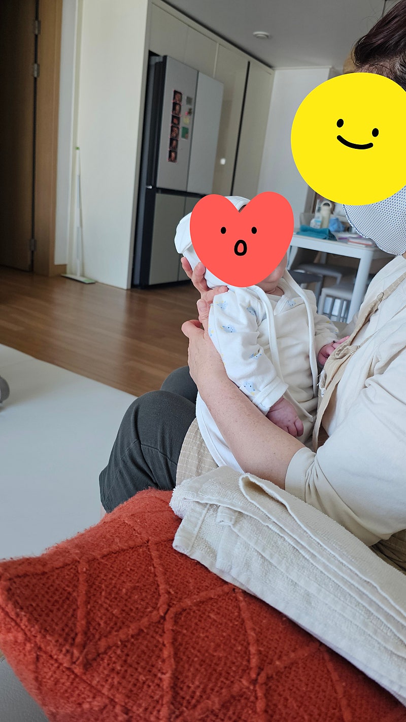 산후도우미 가봄 후기